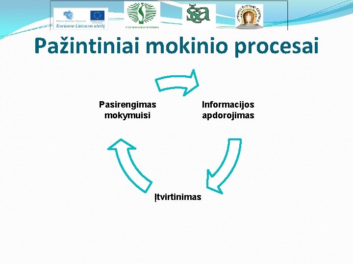 Pažintiniai mokinio procesai Pasirengimas mokymuisi Įtvirtinimas Informacijos apdorojimas 