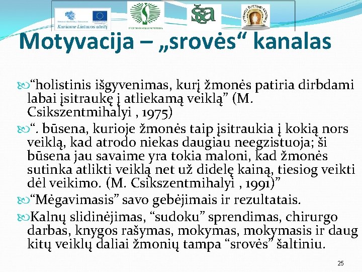 Motyvacija – „srovės“ kanalas “holistinis išgyvenimas, kurį žmonės patiria dirbdami labai įsitraukę į atliekamą