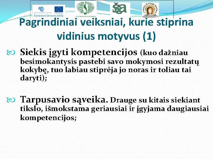 Pagrindiniai veiksniai, kurie stiprina vidinius motyvus (1) Siekis įgyti kompetencijos (kuo dažniau besimokantysis pastebi