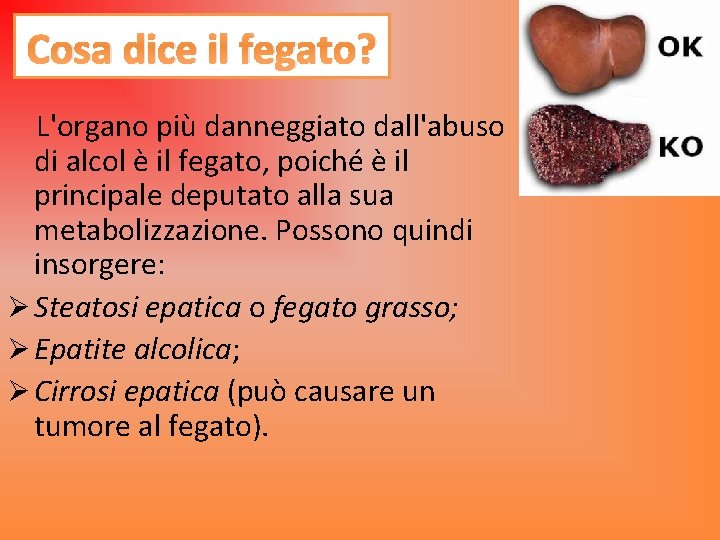 Cosa dice il fegato? L'organo più danneggiato dall'abuso di alcol è il fegato, poiché