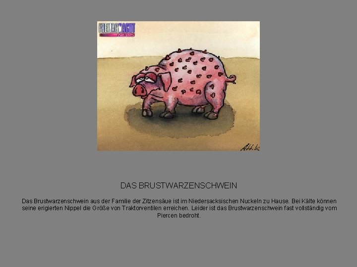 DAS BRUSTWARZENSCHWEIN Das Brustwarzenschwein aus der Familie der Zitzensäue ist im Niedersacksischen Nuckeln zu