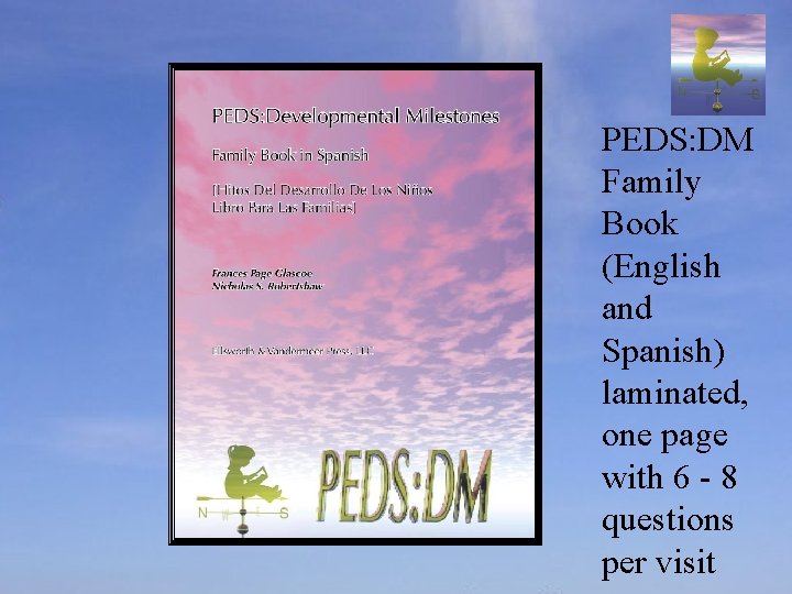 PEDS: DM Family Book (English and Spanish) laminated, one page with 6 - 8