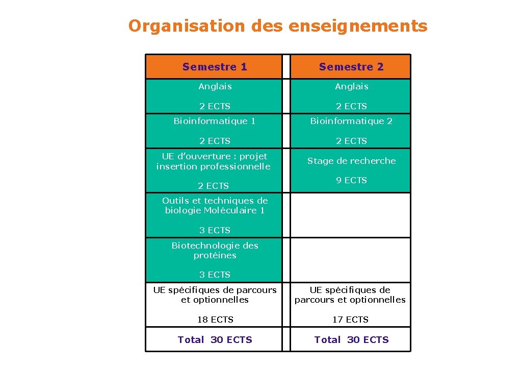 Organisation des enseignements Semestre 1 Semestre 2 Anglais 2 ECTS Bioinformatique 1 Bioinformatique 2