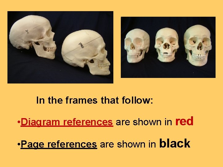  In the frames that follow: • Diagram references are shown in red •