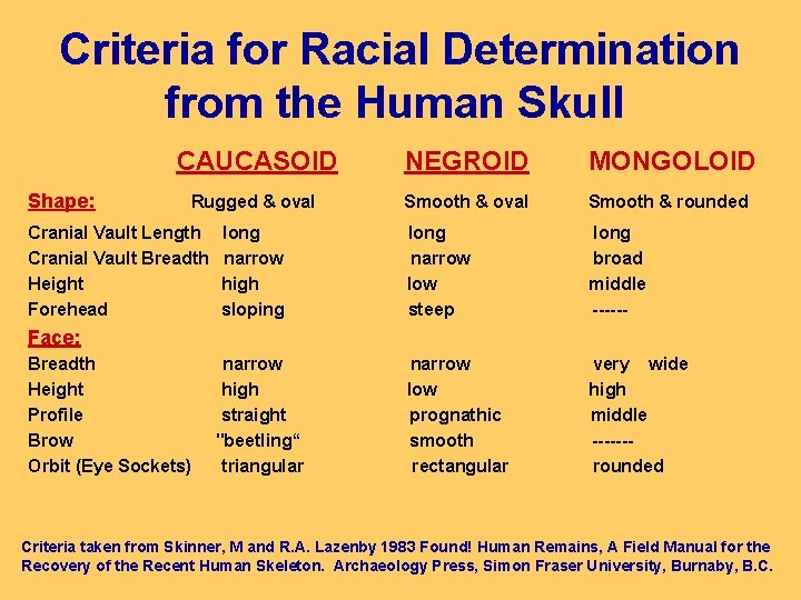 Criteria for Racial Determination from the Human Skull CAUCASOID NEGROID MONGOLOID Shape: Rugged &