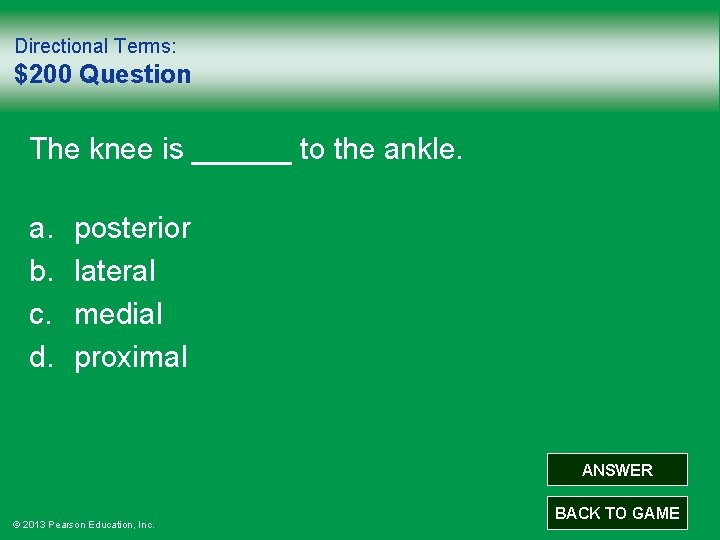 Directional Terms: $200 Question The knee is ______ to the ankle. a. b. c.