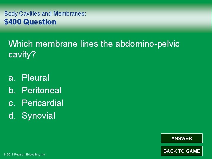 Body Cavities and Membranes: $400 Question Which membrane lines the abdomino-pelvic cavity? a. b.