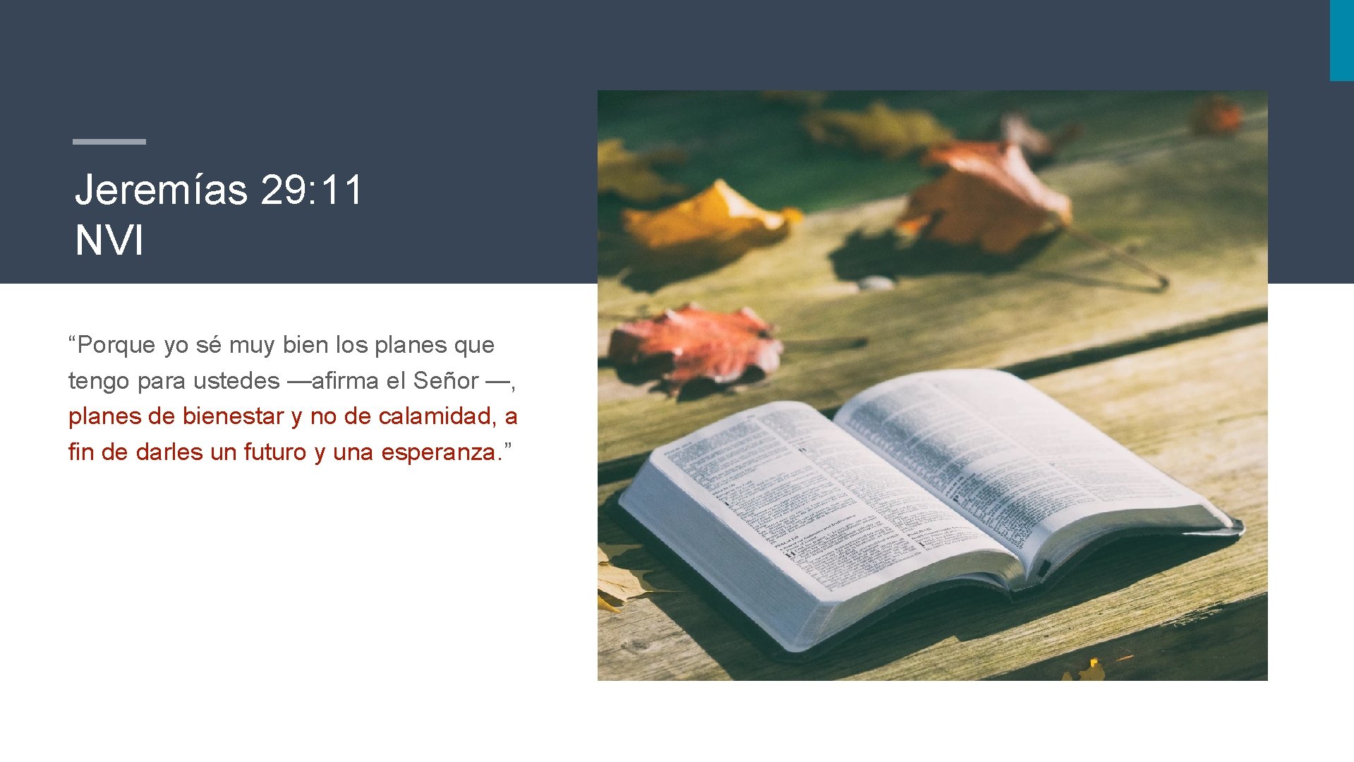 Jeremías 29: 11 NVI “Porque yo sé muy bien los planes que tengo para