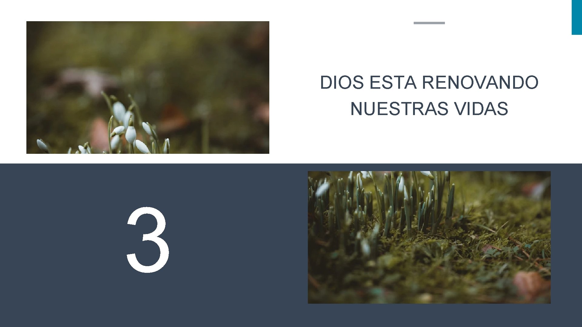 DIOS ESTA RENOVANDO NUESTRAS VIDAS 3 