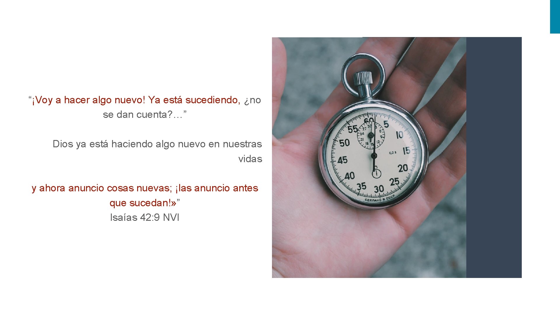 “¡Voy a hacer algo nuevo! Ya está sucediendo, ¿no se dan cuenta? …” Dios