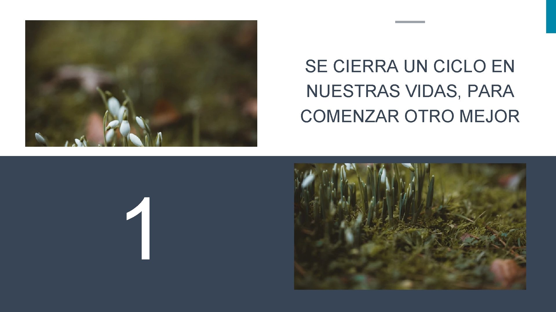 SE CIERRA UN CICLO EN NUESTRAS VIDAS, PARA COMENZAR OTRO MEJOR 1 