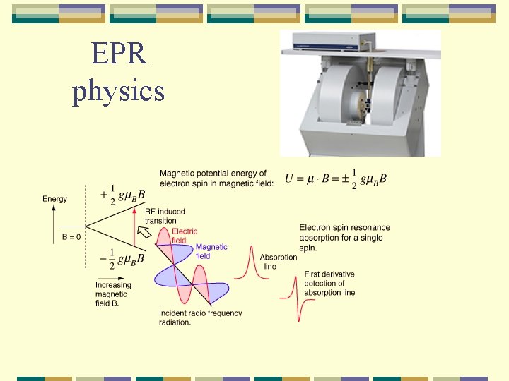 EPR physics 