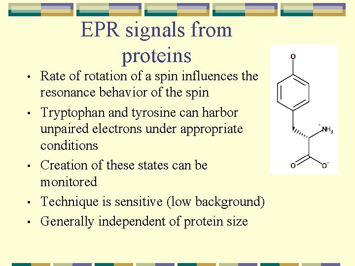 EPR signals from proteins • • • Rate of rotation of a spin influences