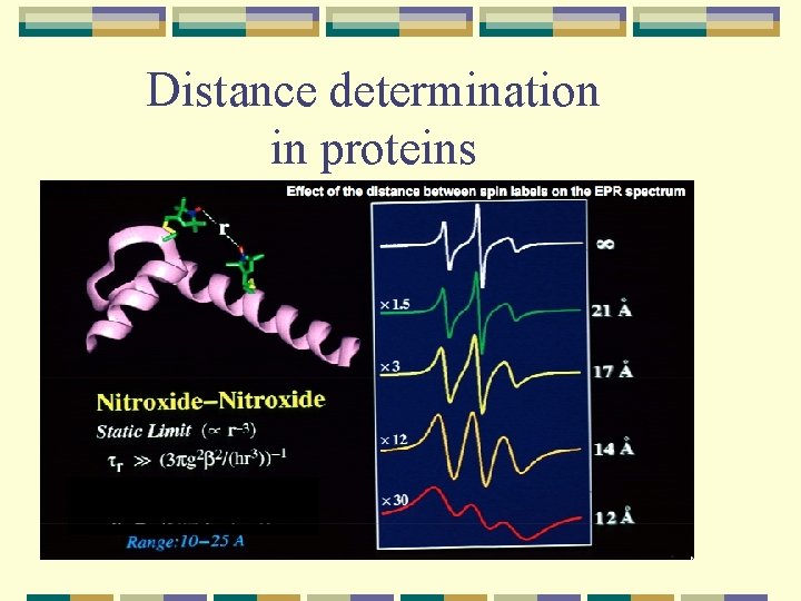 Distance determination in proteins 