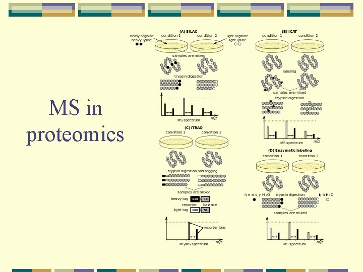 MS in proteomics 