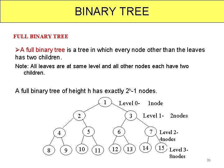 BINARY TREE FULL BINARY TREE ØA full binary tree is a tree in which