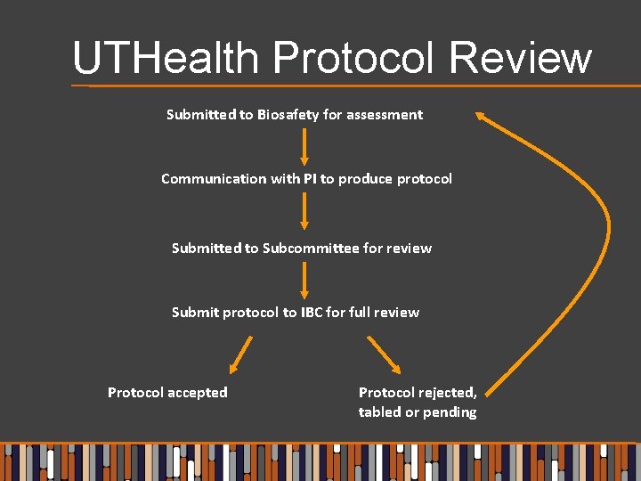 UTHealth Protocol Review Submitted to Biosafety for assessment Communication with PI to produce protocol