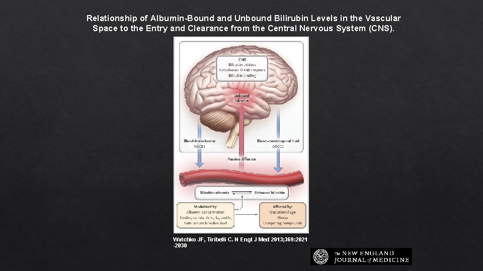 Relationship of Albumin-Bound and Unbound Bilirubin Levels in the Vascular Space to the Entry