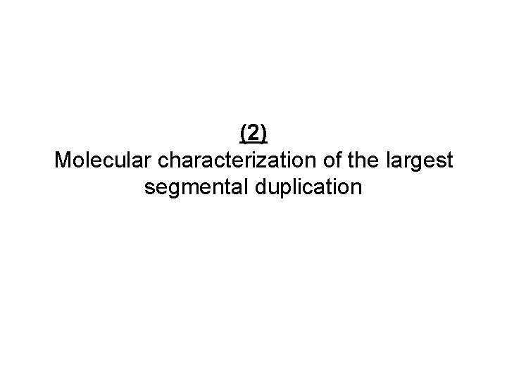 (2) Molecular characterization of the largest segmental duplication 