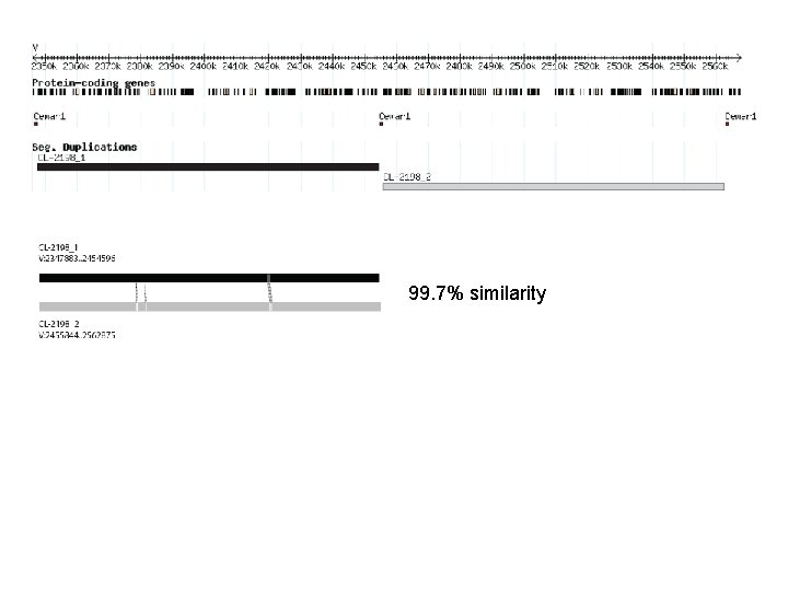 99. 7% similarity 