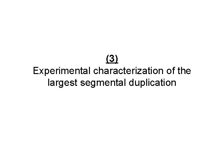 (3) Experimental characterization of the largest segmental duplication 