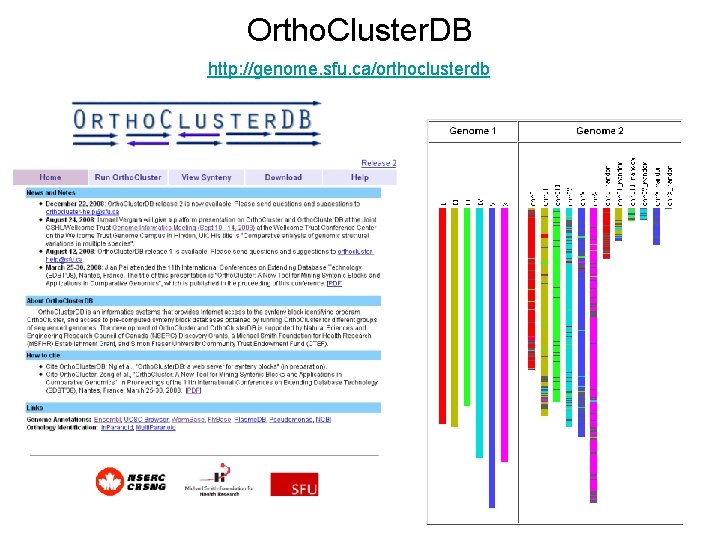 Ortho. Cluster. DB http: //genome. sfu. ca/orthoclusterdb 