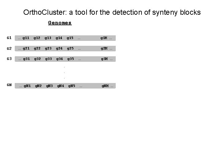 Ortho. Cluster: a tool for the detection of synteny blocks Genomes G 1 …