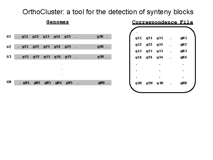 Ortho. Cluster: a tool for the detection of synteny blocks Genomes Correspondence File …