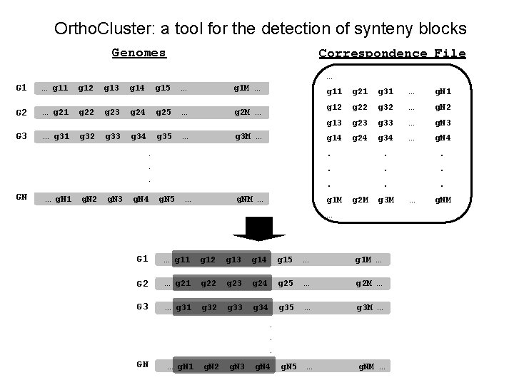 Ortho. Cluster: a tool for the detection of synteny blocks Genomes Correspondence File …