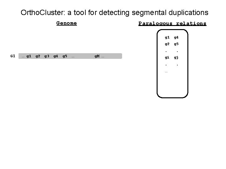 Ortho. Cluster: a tool for detecting segmental duplications Genome Paralogous relations g 1 g