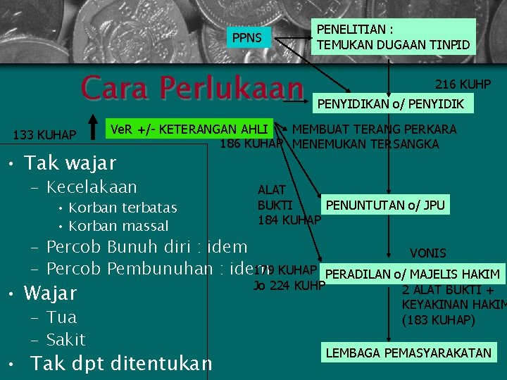 PPNS PENELITIAN : TEMUKAN DUGAAN TINPID Cara Perlukaan 133 KUHAP 216 KUHP PENYIDIKAN o/