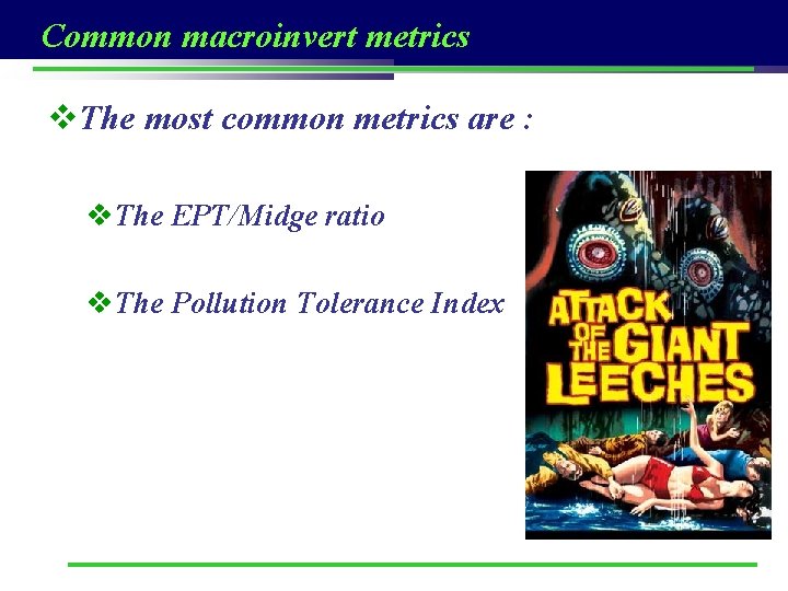 Common macroinvert metrics v. The most common metrics are : v. The EPT/Midge ratio