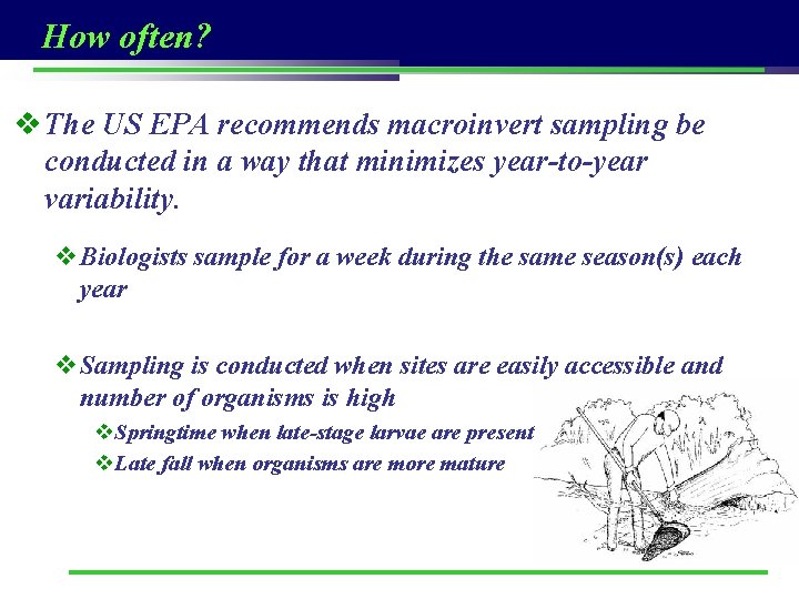 How often? v The US EPA recommends macroinvert sampling be conducted in a way