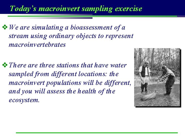 Today’s macroinvert sampling exercise v We are simulating a bioassessment of a stream using