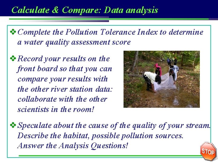 Calculate & Compare: Data analysis v Complete the Pollution Tolerance Index to determine a