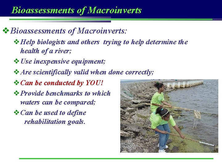 Bioassessments of Macroinverts v Bioassessments of Macroinverts: v. Help biologists and others trying to