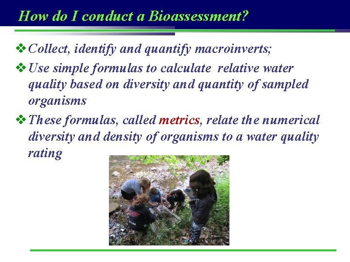 How do I conduct a Bioassessment? v Collect, identify and quantify macroinverts; v Use