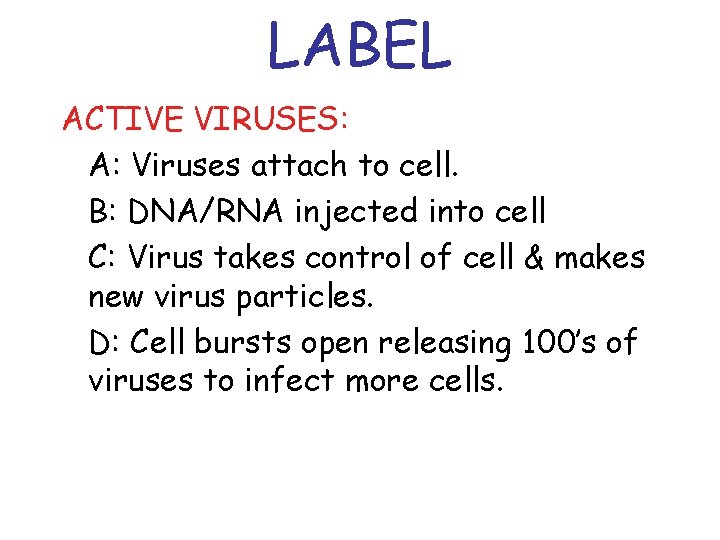 LABEL ACTIVE VIRUSES: A: Viruses attach to cell. B: DNA/RNA injected into cell C:
