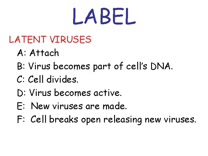 LABEL LATENT VIRUSES A: Attach B: Virus becomes part of cell’s DNA. C: Cell