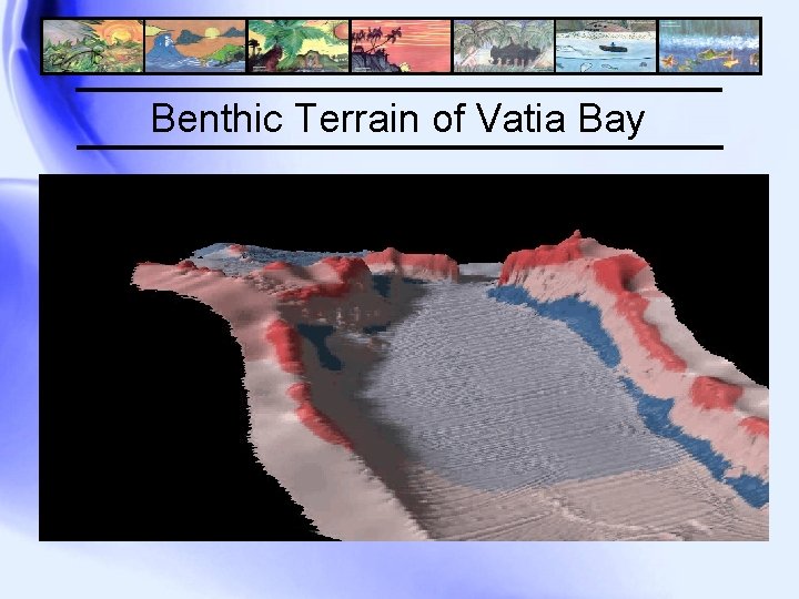 Benthic Terrain of Vatia Bay 