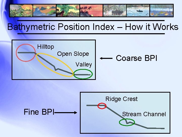 Bathymetric Position Index – How it Works Hilltop Open Slope Valley Coarse BPI Ridge