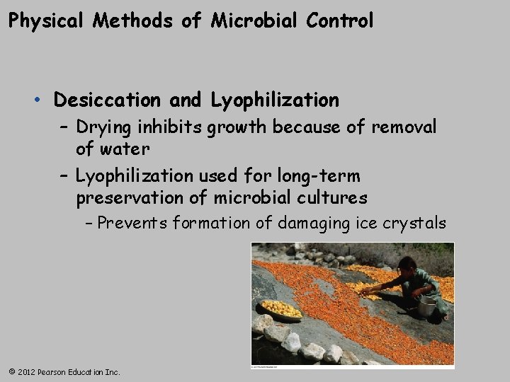Physical Methods of Microbial Control • Desiccation and Lyophilization – Drying inhibits growth because