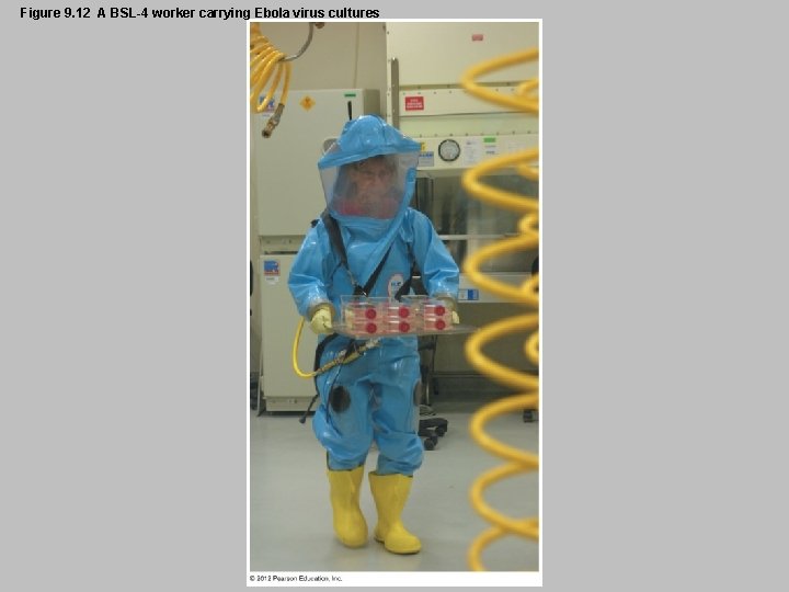 Figure 9. 12 A BSL-4 worker carrying Ebola virus cultures 