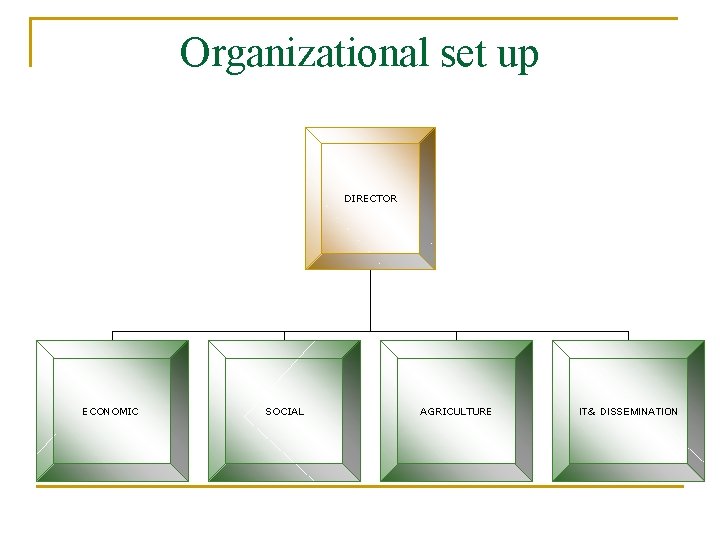 Organizational set up DIRECTOR ECONOMIC SOCIAL AGRICULTURE IT& DISSEMINATION 