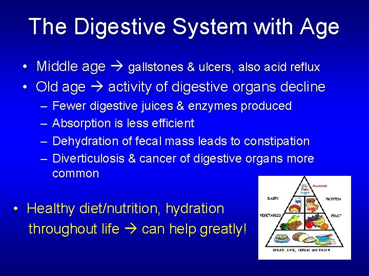 The Digestive System with Age • Middle age gallstones & ulcers, also acid reflux