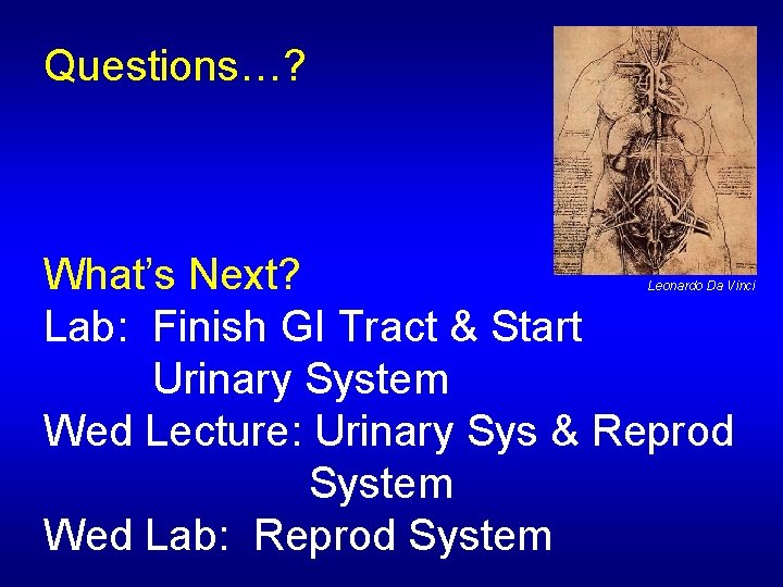 Questions…? What’s Next? Lab: Finish GI Tract & Start Urinary System Wed Lecture: Urinary
