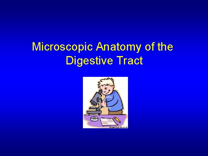 Microscopic Anatomy of the Digestive Tract clipartguide. com 