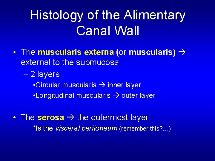 Histology of the Alimentary Canal Wall • The muscularis externa (or muscularis) external to