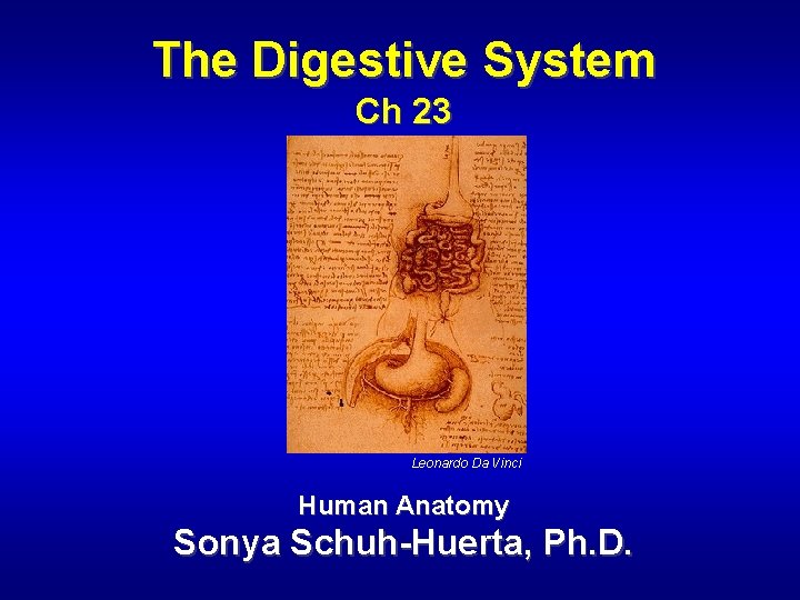 The Digestive System Ch 23 Leonardo Da Vinci Human Anatomy Sonya Schuh-Huerta, Ph. D.