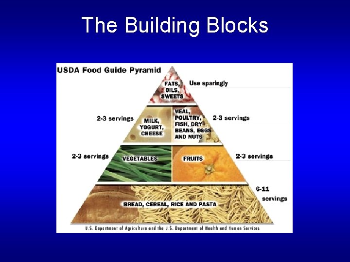 The Building Blocks 